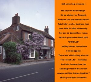 WESTBOURNE HISTORY PHOTO, MEMORIES, NORTH STREET, YEW TREE, SPINDLES, TRUDGETT BAKER , ARJA FALLER , QUANTRILLS , TREE OF LIFE.