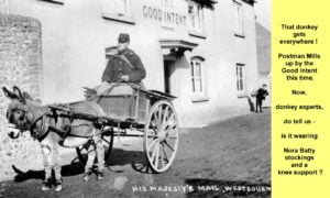 WESTBOURNE HISTORY PHOTO, MEMORIES, DONKEY MILLS, POSTMAN, CART, MAIL, GOOD INTENT, NORTH STREET.