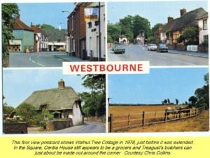 WESTBOURNE HISTORY PHOTO, POSTCARD, VIEWS, WALNUT TREE, CENTRA, TREAGUST