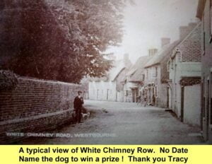 WESTBOURNE HISTORY PHOTO, WHITE CHIMNEY ROW, THATCH, WALNUT TREE, TIBBALDS