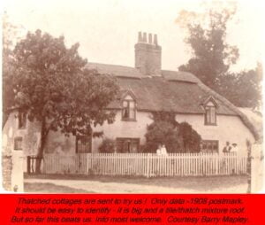 WESTBOURNE HISTORY PHOTO, THATCH, COTTAGE, MYSTERY, 1908