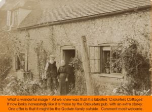 WESTBOURNE HISTORY PHOTO, CRICKETERS,COTTAGES, COMMONSIDE,GODWIN