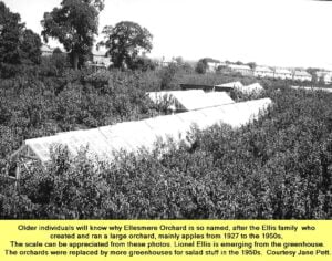 Orchards run by the Ellis family, now Ellesmere Orchard