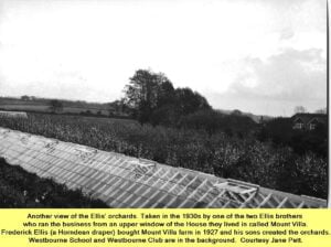 WESTBOURNE HISTORY PHOTO, ELLIS ORCHARD, MOUNT VILLA, ELLESMERE,