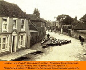 WESTBOURNE HISTORY PHOTO, NORTH STREET, SHEEP, GULLY, WHITEFRIARS