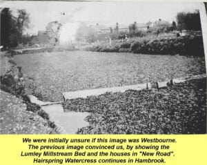 WESTBOURNE HISTORY PHOTO, WATERCRESS, LUMLEY MILLSTREAM, HAIRSPRING, NEW ROAD,