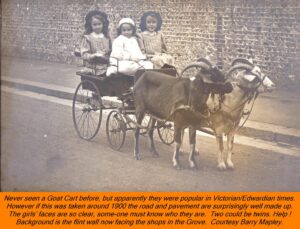 WESTBOURNE HISTORY PHOTO, GROVE, GOAT CART, GIRLS