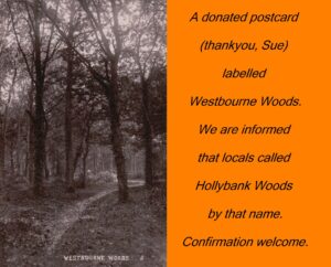 WESTBOURNE HISTORY PHOTO, WESTBOURNE WOOD, HOLLYBANK