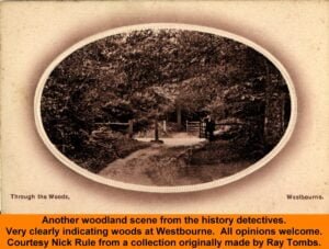 WESTBOURNE HISTORY PHOTO, WOODS, ISOLATION HOSPITAL, RDC.